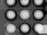 Dendritic Growth and Contamination at BGA Sites