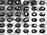 Acoustic Micro Imaging Analysis for 3D Packages