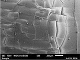 Additive Manufacturing Printed Circuit Board Assembly Processes