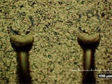 Overcome Nodules and Scratches on Wire Bondable Plating on  PCBs