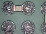 Board Level Reliability of Large Body Size WlCSP for Automotive Applications