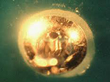 Blow Holes After Switching from Lead-Free HASL to ENIG