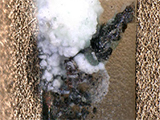 A Case Study of Nickel Dendritic Growth on Printed Circuit Boards