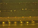 Characterization of SIP Assembly and Reliability Under Thermal Cycles
