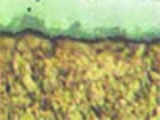 Copper-Tin Intermetallics: Their Importance, Growth Rate and Nature
