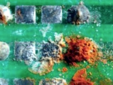 Corrosion Resistance of Finishes in Harsh Environments