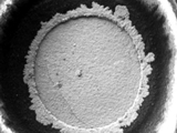 Surface Finish Effect on Creep Corrosion in PCBs
