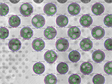 Solder Joint Void Metrology to Monitor Solder Joint Quality