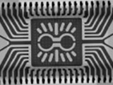 Counterfeit Electronic Components Identification: A Case Study