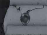The Effect of Board Design on the Drop Shock Performance of Lead-Free Solder Alloys
