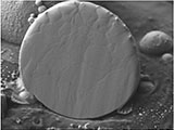Effect of Fine Lead-Free Solder Powder on the Reflow Property Pastes