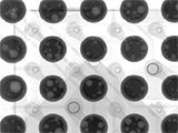 Thermal Cycling Dwell Time on Reliability of Pb-free Solder Alloys