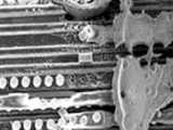 EOS Exposure of Components in the Soldering Process