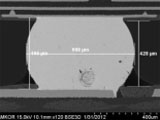 Evaluation of Molded Flip-chip BGA Packages
