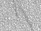 Fabriciton of NiCo Alloy and Rh Coating Using Electroplating Method