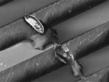 Insulation Resistance of Dielectric Materials