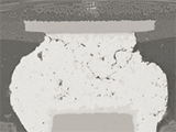 Reliability of Lead Free Solder Joints in Ball Grid Array Packages