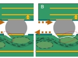 Mechanical Failures in Pb-Free Processing