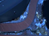 A Model for Life of SnAgCu Solder Joints