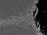 Microstructure Modification for SnBi Low Temperature Solder Alloy