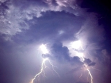 Natural Disasters and Business Disruption