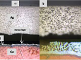 Pressure-Less Silver Sintering Pastes for Low Porosity Joint and Large Die