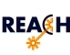 Where are REACH SVHC in Electronics?