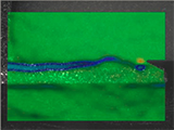 Reliability Improvements by the Creation of Intermetallic Connections