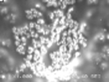 RF Capacitor Material for Use in Printed Circuit Board