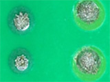 The Effects of Solder Powder Size on Solder Paste Performance