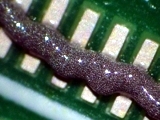 Suitable Flux Medium for Cleanable and No-Clean Solder Pastes