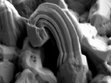 Effects of Whiskers on Nanocrystalline Copper
