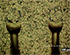 Overcome Nodules and Scratches on Wire Bondable Plating on  PCBs